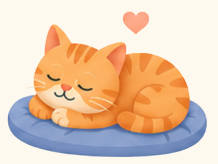 Sleeping orange cat on a blue cushion